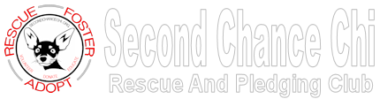 Second Chance Chi Rescue